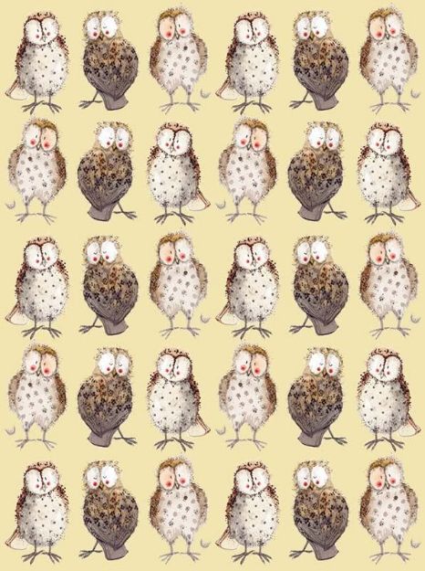 Bild von OWLS SMALL CHUNKY NOTEBOOK