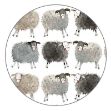 Bild von SHEEP