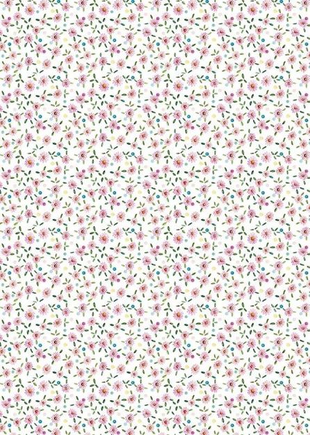 Bild von DAISIES