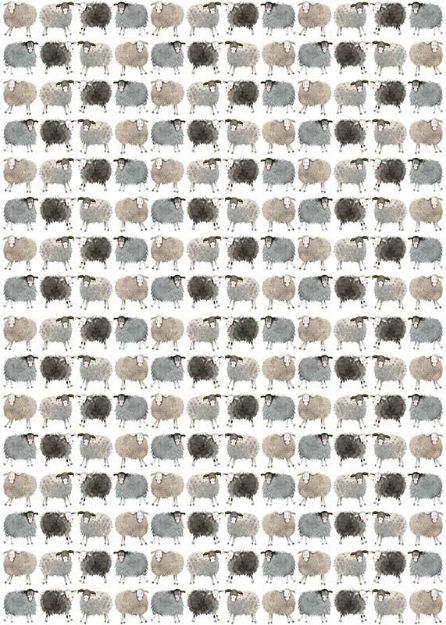 Bild von SHEEP