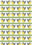 Bild von BLUE TIT
