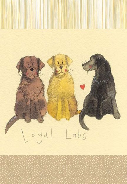 Bild von LOYAL LABS