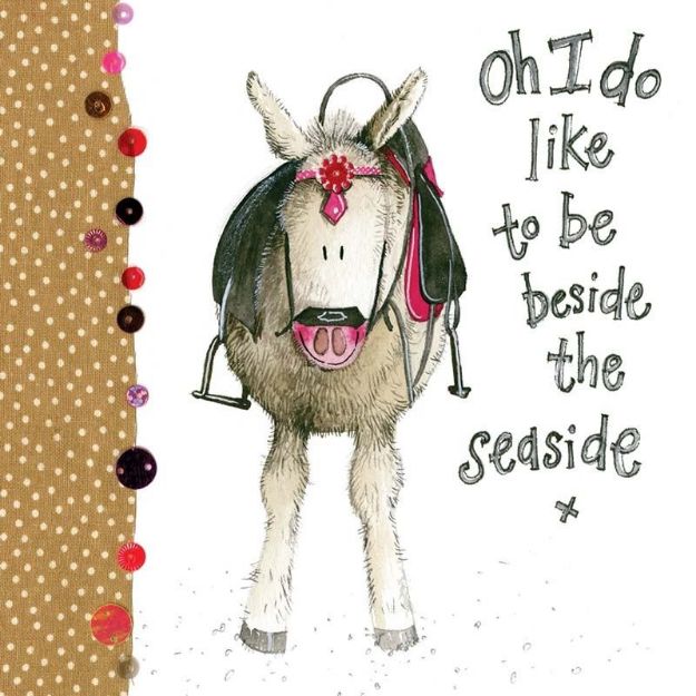 Bild von SEASIDE DONKEY CARD