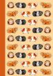Bild von GORGEOUS GUINEA PIGS HARDBACK NOTEBOOK