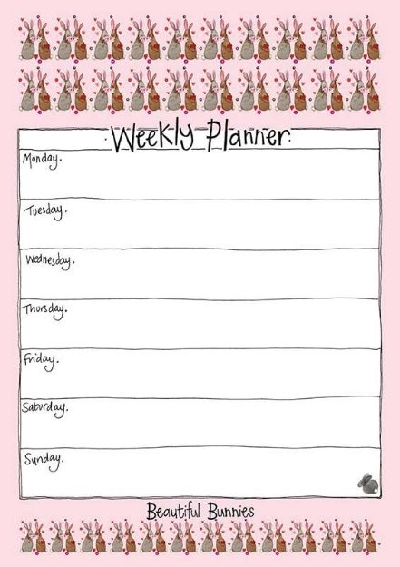 Bild von BEAUTIFUL BUNNIES
