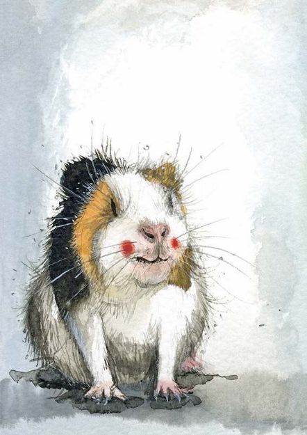 Bild von GUINEA PIG