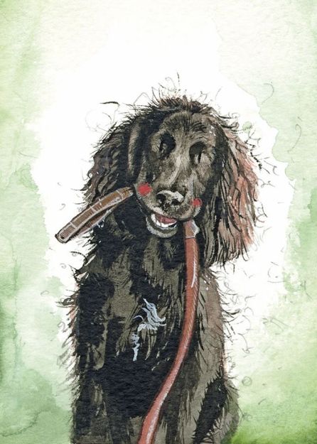 Bild von SPROUT