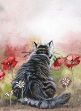 Bild von CAT IN THE POPPIES