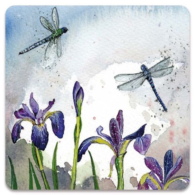 Bild von DRAGONFLIES