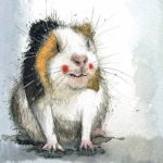 Bild von Little Guinea