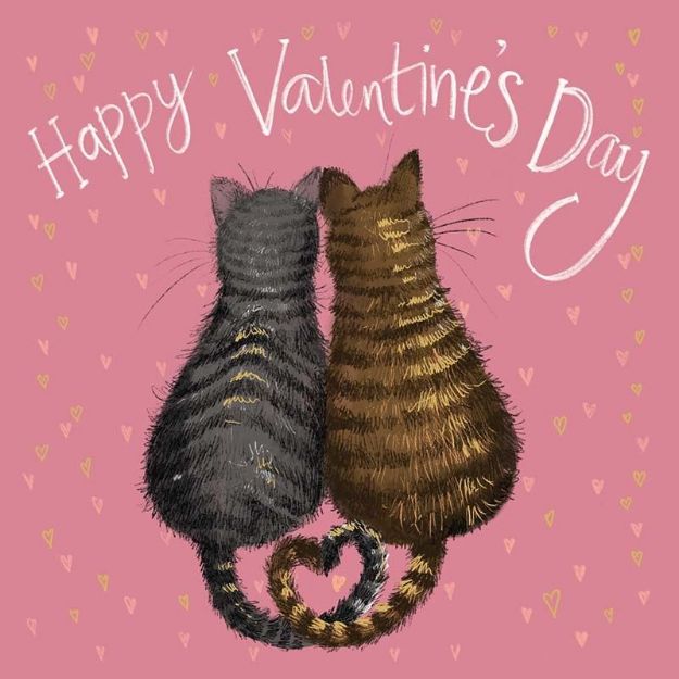 Bild von SPRS59 VALENTINE CAT VALENTINES CARD
