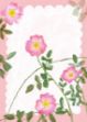 Bild von SWEET BRIAR BLANK CARD