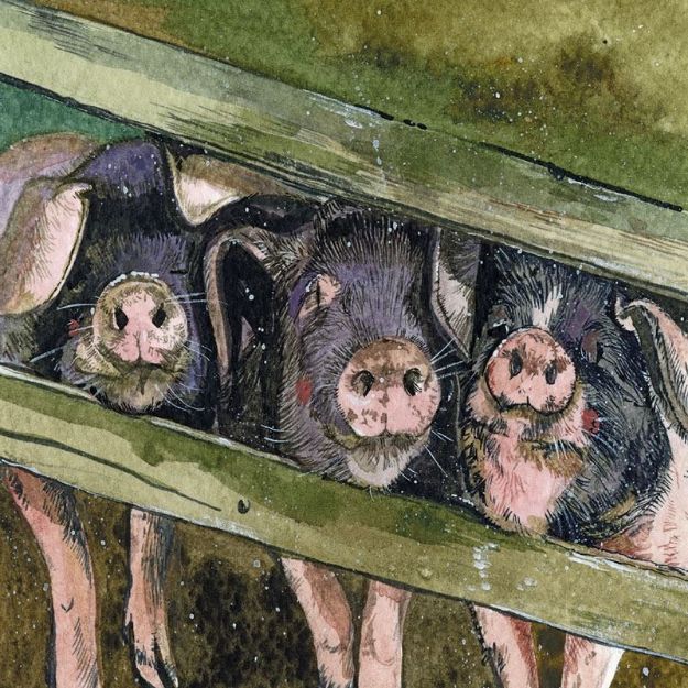 Bild von THESE LITTLE PIGGIES BLANK CARD