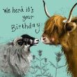 Bild von FARMYARD FRIENDS BIRTHDAY CARD