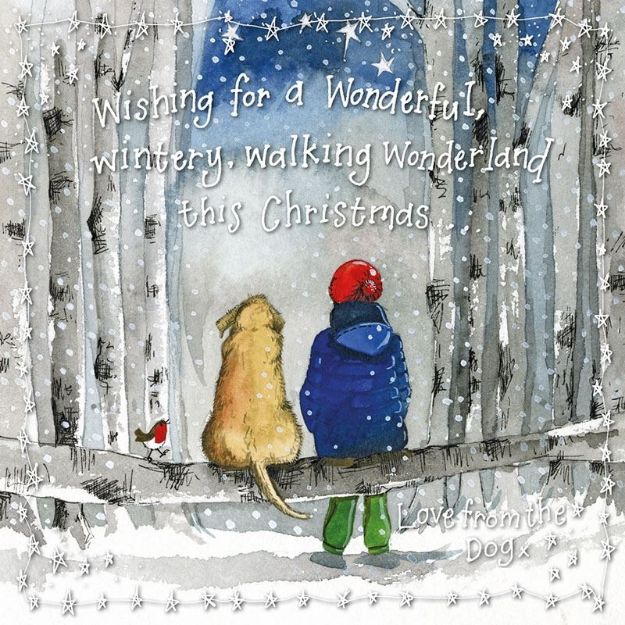Bild von CHRISTMAS FROM THE DOG