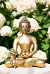 Bild von Medizin Buddha