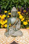 Bild von Medizin Buddha