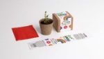 Bild von Grow This Way – Anzuchtset Blumen-Samen Mix