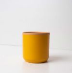 Bild von Pot saffron yellow