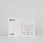 Bild von Plantable Postcard – I love you