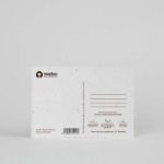 Bild von Plantable Postcard – Congrats