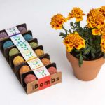 Bild von Biodiversity bombs display (36 pcs)