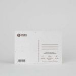 Bild von Plantable postcards display (90 pcs)