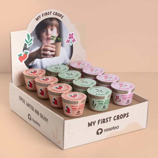 Bild von My first crops display (24 pcs)