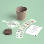 Bild von My first crops display (24 pcs)