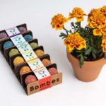 Bild von Exposant bombes de biodiversitè (36 pcs)