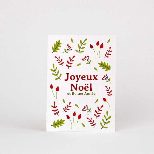 Bild von Cartes plantables (Joyeux Nöel)