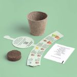 Bild von Espositore Il mio primo coltivazioni (24 pcs)