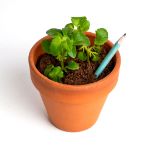 Bild von Espositore Matite piantabili (72 pcs)