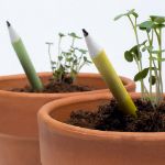 Bild von Exposant crayons à planter (72 pcs)