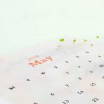 Bild von Plantable calendar 2025 (english)
