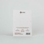 Bild von Alles Gute zum Geburtstag (Kamille)