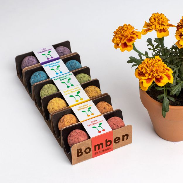 Bild von Bomben der Biodiversität Produktständer (36 pcs)