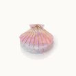 Bild von Haarklammer MuschelformUnicorn Heaven - by vivi.