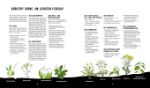 Bild von Naturensöhne: Outdoor Kochen – OhneStrom und ohne Schnickschnack mit den N