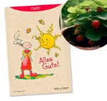 Bild von Hörtenhuber Kurt: Oups Samenpackung -BIO Monatserdbeeren ‚Rügen‘
