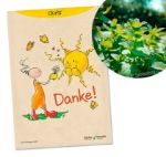 Bild von Hörtenhuber Kurt: Oups Samenpackung -BIO Zitronenmelisse