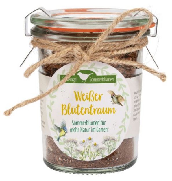 Bild von Weisser Blütentraum - Sommerblumen fürmehr Natur im Garten