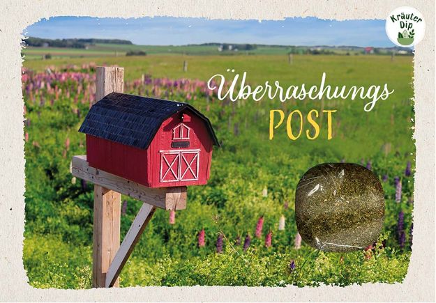 Bild von Überraschungspost