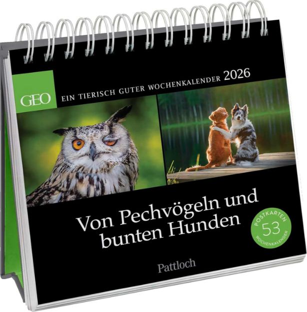 Bild von GEO: Postkartenkalender 2026: Von Pechvögeln und bunten Hunden