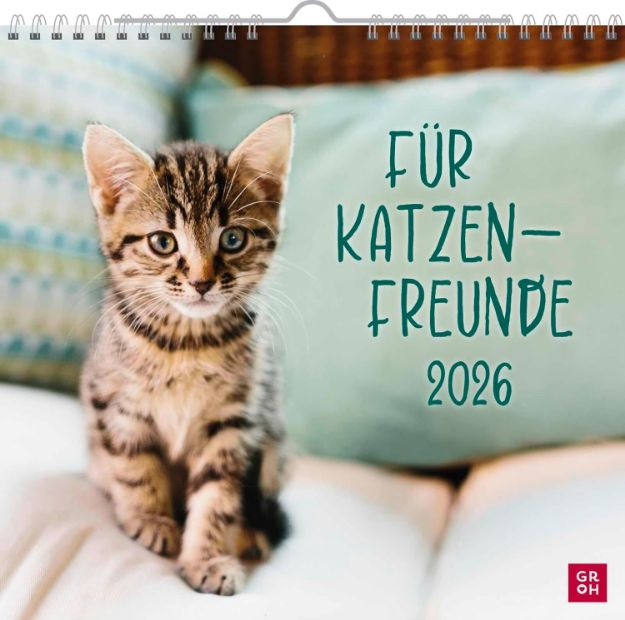 Bild von Wandkalender 2026: Für Katzenfreunde