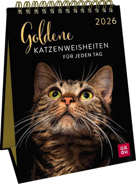 Bild von Wochenkalender 2026: Goldene Katzenweisheiten für jeden Tag