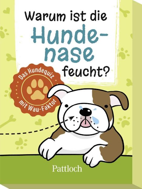 Bild von Warum ist die Hundenase feucht?