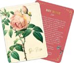 Bild von Die geheimnisvolle Sprache der Blumen - 50 Orakelkarten für das ganze Jahr