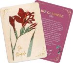 Bild von Die geheimnisvolle Sprache der Blumen - 50 Orakelkarten für das ganze Jahr