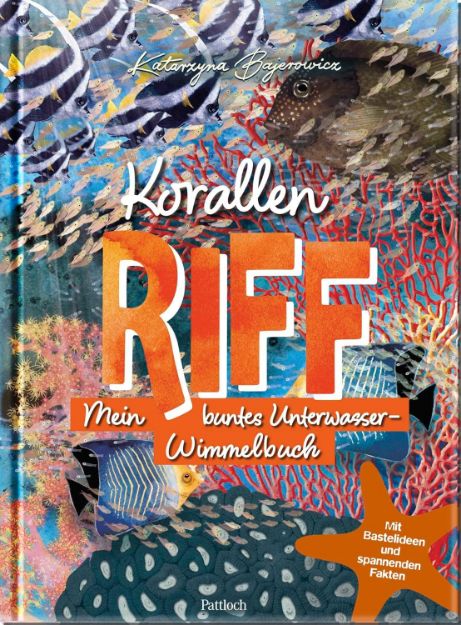 Bild von Korallenriff